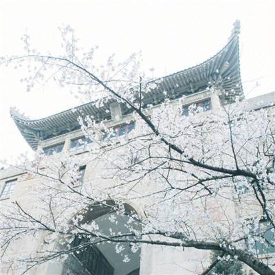 美国宾夕法尼亚大学将追授林徽因建筑学学位